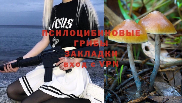 прущие крисы Горно-Алтайск