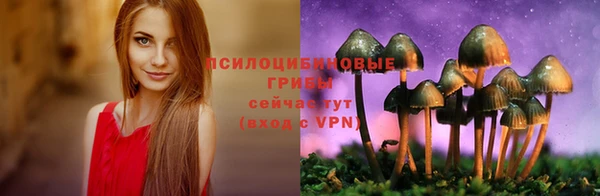 марки lsd Новокубанск