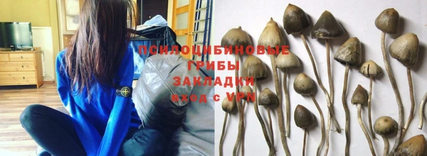 кристаллы Горнозаводск